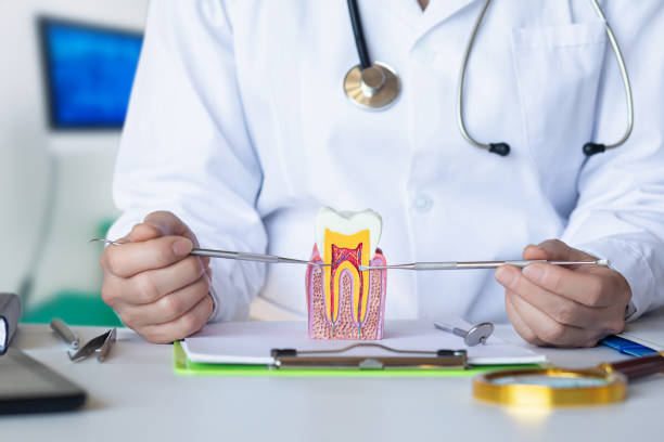 Best Emergency Treatment for Toothache in Dortches, NC